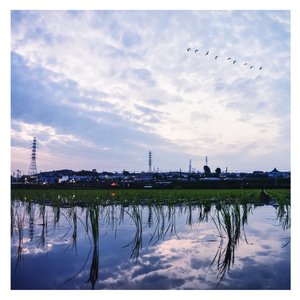 同学的妈妈张姨30出头小说
