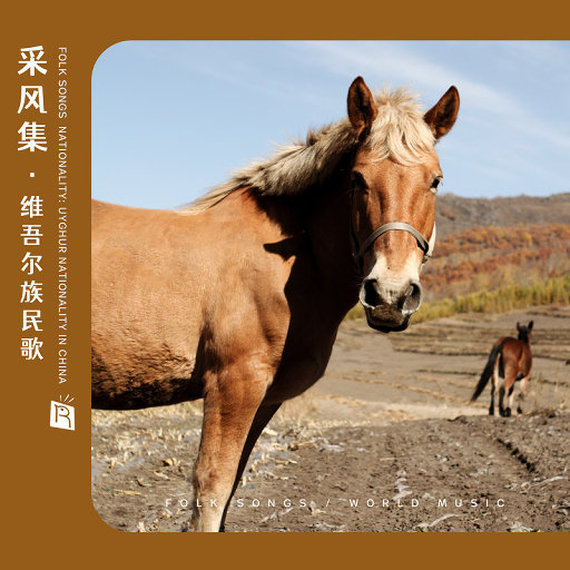 同学的妈妈张姨30出头小说
